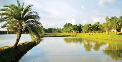 কিং খালিদ বিমানবন্দরে হুথিদের মিসাইল হামলা: ফ্লাইট ওঠানামা সাময়িক স্থগিত