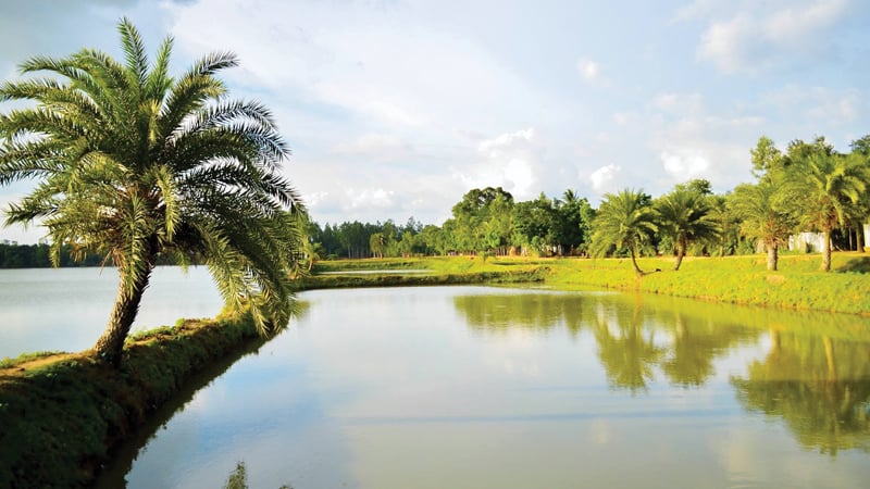 কিং খালিদ বিমানবন্দরে হুথিদের মিসাইল হামলা: ফ্লাইট ওঠানামা সাময়িক স্থগিত